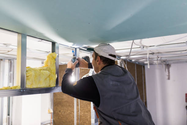 Best Garage Insulation Installation  in Kingsville, TX